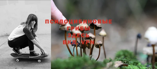 дурь Бронницы