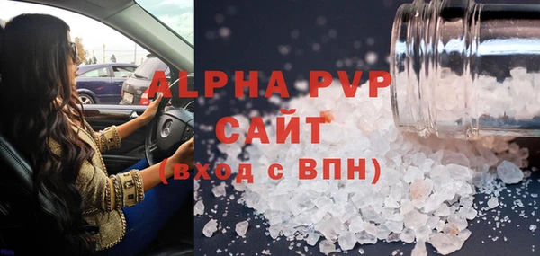 мдпв Бородино