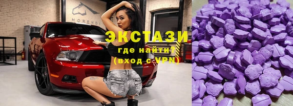 молекула духа Богородицк