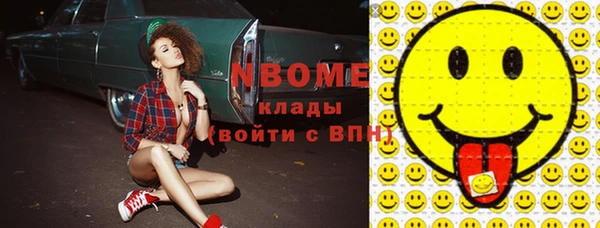 молекула духа Богородицк