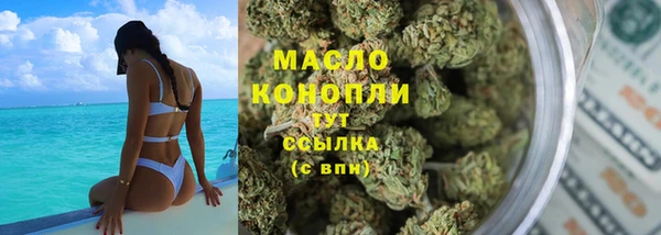 мдпв Бородино