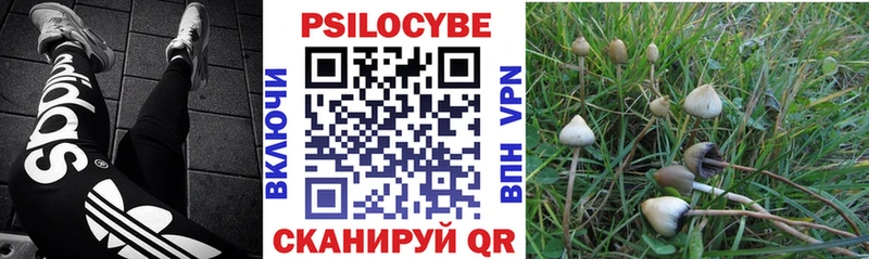 цены   omg зеркало  Галлюциногенные грибы мухоморы  Котлас 