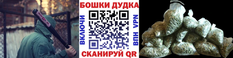 купить наркоту  Котлас  OMG онион  Каннабис AK-47 